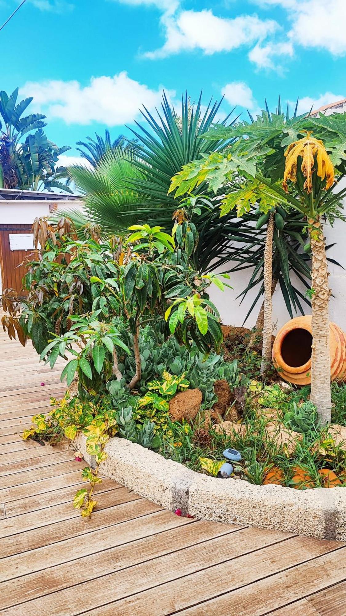 Hébergement de vacances Beautiful With Wifi And Free Parking Arona (Tenerife)